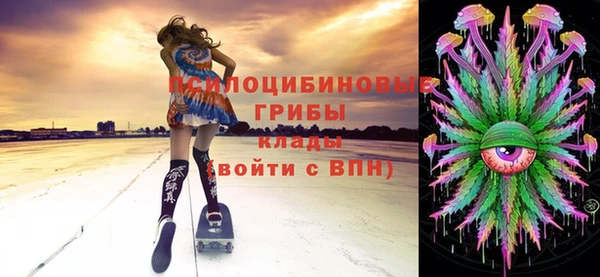 МДПВ Алексин