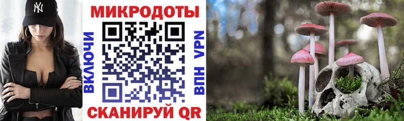 это клад Алупка Псилоцибиновые грибы ЛСД блэк спрут зеркало